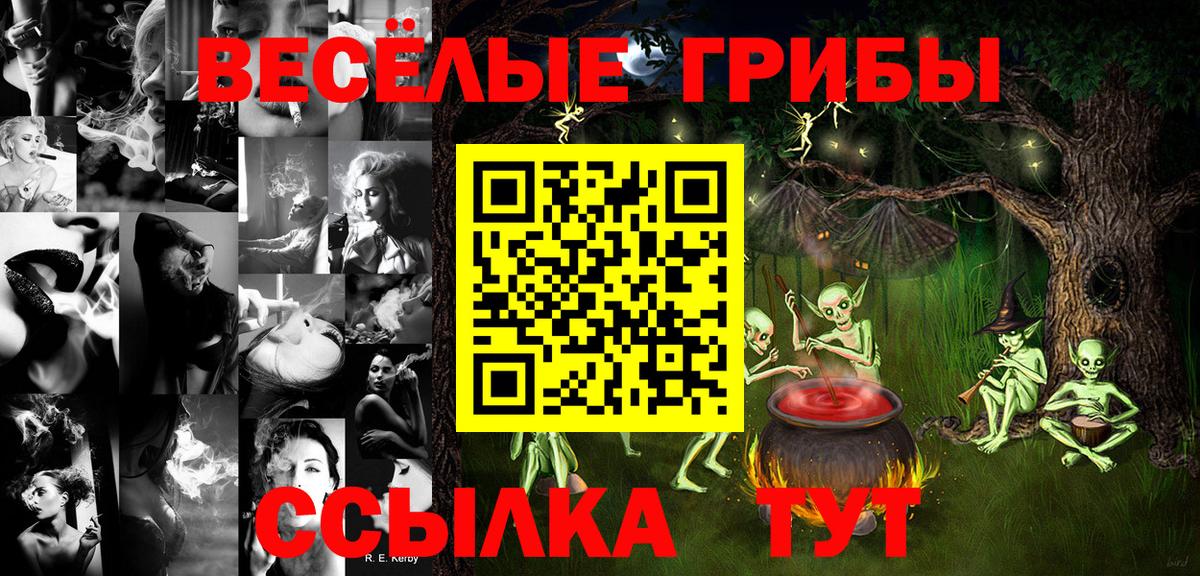 Псилоцибиновые грибы GOLDEN TEACHER  Вход с VPN  магазин  наркотиков  Карталы 