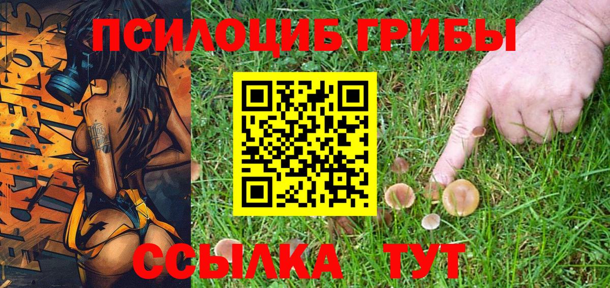 Галлюциногенные грибы GOLDEN TEACHER Карталы